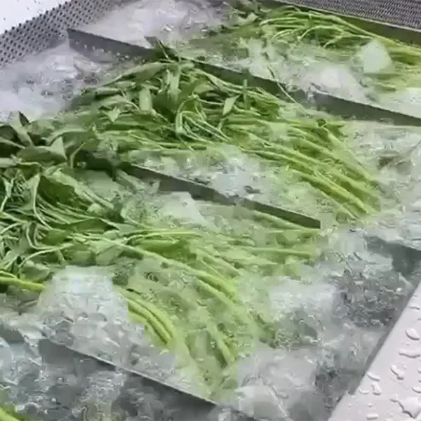 Машины для мойки овощей и фруктов