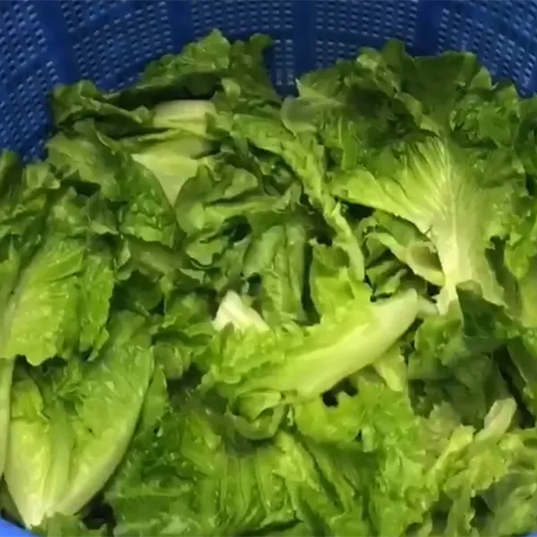 Машины для обезвоживания
