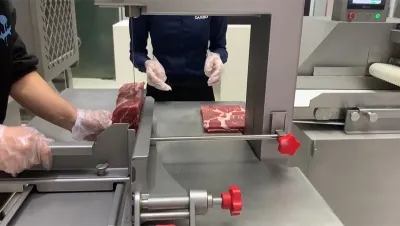 Ленточная пила для мяса, DRB-JG330