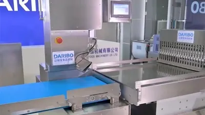 Автоматическая ленточная пила для костей, DRB-ATJG150B