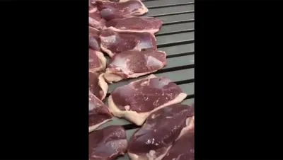 Инъектор для мяса, DRB-ZS168