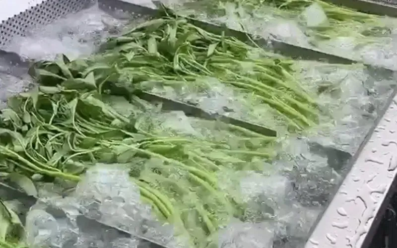 Машины для мойки овощей и фруктов